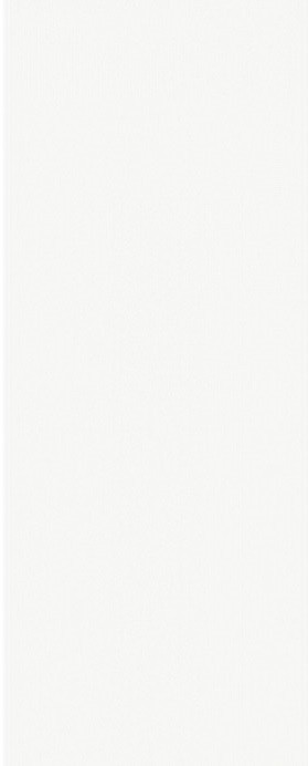 Obklad Narni White Mat 50x20 cm