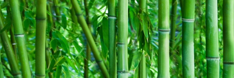 Dekor Savona Bamboo Sklo 1 75x25 cm