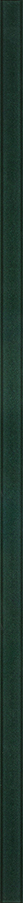 Univerzální Listela Sklo Paradyz Green 89,8x2,3 cm