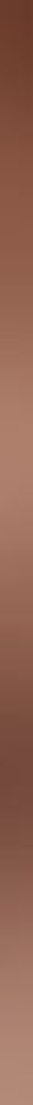 Listela Steel Copper 2 74,8x2,3 cm