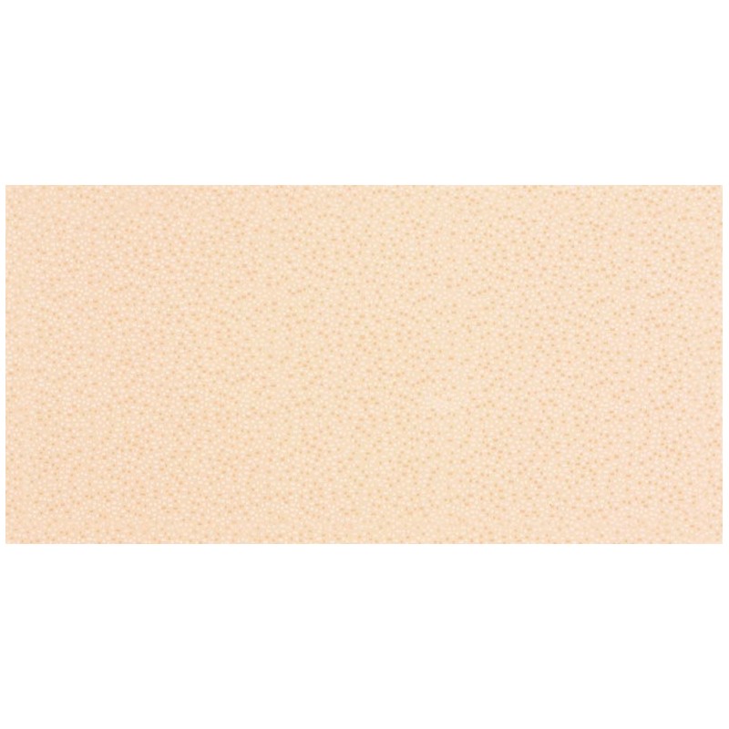 Obklad RAKO Fresh WATMB081 20x40 cm