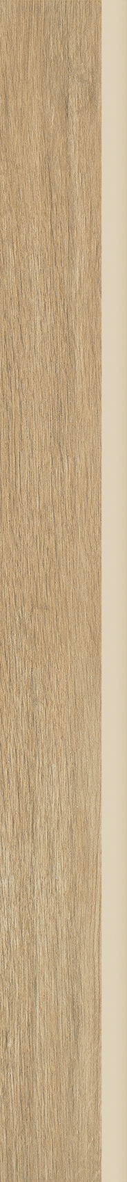 Dlažba Wood Basic Naturale Sokl 6,5x60